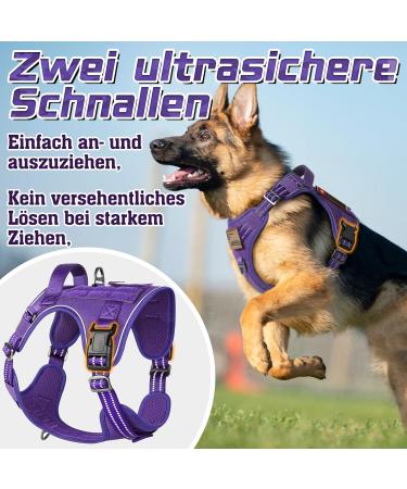 Rabbitgoo Adjustable Dog Harness for Medium Dogs - Durable Tactical Wear-Resistant with Metal Buckles & Handles - Perfect for Hiking (Purple M) - Buy Online on SooperMarket.com