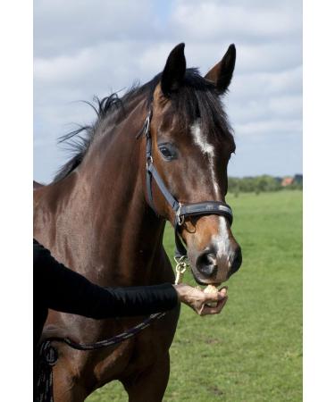 Buy Fresh Horseradish - 2nd Class for Horses (500g) | International Shipping Available - Buy Online on SooperMarket.com