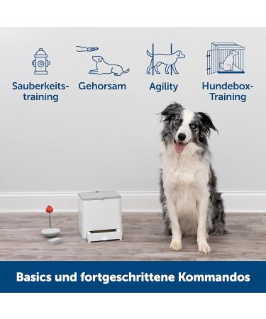 PetSafe Teach & Treat Remote Dog Trainer | Positive Reinforcement & Rewards | International Shipping Available - Buy Online on SooperMarket.com