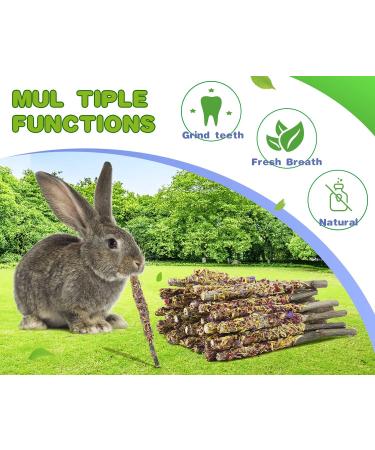 ABIZOO 18-Piece Rabbit Chew Toy Set | Natural Apple Sticks & Dental Care for Rabbits Hamsters & Guinea Pigs - Buy Online on SooperMarket.com