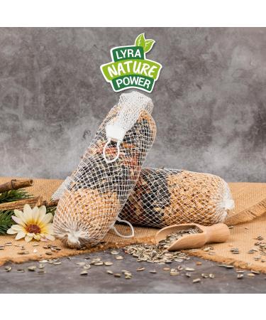 Buy Lyra PET Giant Feed Bar 600g - Premium Bird Food for Hanging | 4 pcs | Energy Source for Wild Birds Year-Round | Ideal for Balcony & Terrace - Buy Online on SooperMarket.com