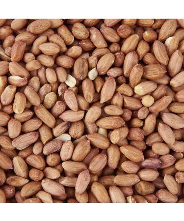 Peanut Kernels 5L Refill 1 count (Pack of 1)