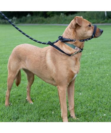 Total Pet Anti-Pull Figure 8 Dog Lead with Padded Nose Support - Medium/Large Black - Buy Online on SooperMarket.com