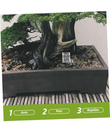 Mipcase Pet Water Feeder Ant Feeding Bowl Ants Farm Water Feeders Insect Feeder Ants Watering Cup Plastic - Buy Online on SooperMarket.com