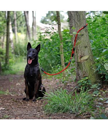 Buy Lionto Adjustable Dog Leash - Multifunctional Weatherproof 200 cm Red | Perfect for Medium Dogs - Shop Internationally! - Buy Online on SooperMarket.com