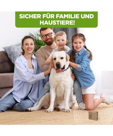 ISOTRONIC Mouse Defense: Ultrasonic Pest Control in Wooden Housing | Chemical-Free Rat Repellent for Home Basement & Garden | 3-Piece Set - Buy Online on SooperMarket.com