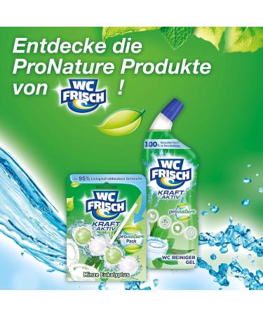 WC Frisch Kraft Active Pro Nature Mint & Eucalyptus Toilet Cleaner - 10 Pack | 95% Biodegradable Fragrance Stones for Long-Lasting Freshness | International Shipping Available - Buy Online on SooperMarket.com