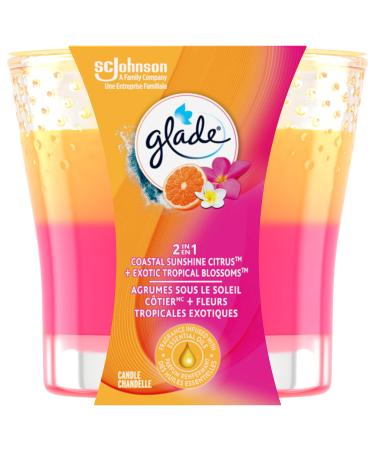 Glade 2in1 Scented Candle Coastal Sunshine Citrus + Exotic Tropical Blossoms Air Freshener Infused with Essential Oils for Home Fragrance 1 Count Coastal Sunshine Citrus & Exotic Tropical Blossoms