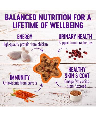 Wellness Complete Health Grain-Free Wet Cat Food - Natural Chicken in Gravy, 24-Pack, No Wheat or Artificial Additives - Buy Online on SooperMarket.com