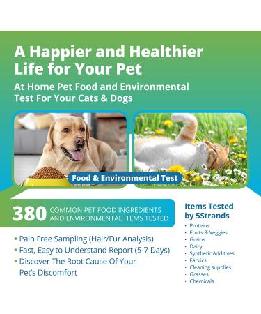 5Strands Pet Food and Environmental Intolerance Test | Home Sensitivity Kit for Dogs & Cats | Hair Sample Collection | 380 Items Tested | Results in 7 Days - Buy Online on SooperMarket.com