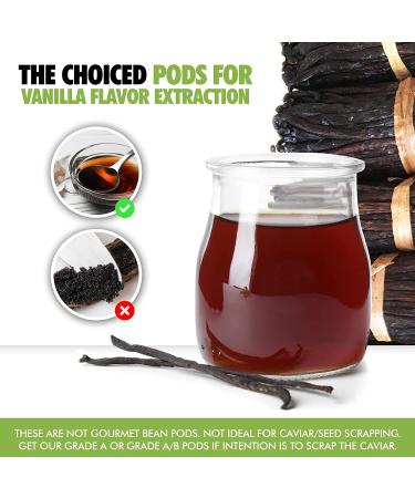 Organic Madagascar Vanilla Beans Grade B - 50 Count Pack for Extract & Baking by FITNCLEAN VANILLA - Buy Online on SooperMarket.com