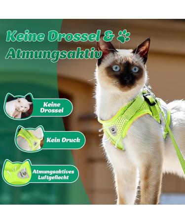 Supet Cat Dishes & Soft Vest for Kittens & Dogs - Green - Breakfast Cat Lines - Perfect Fit for Chihuahuas (26-32 cm) - Buy Online on SooperMarket.com