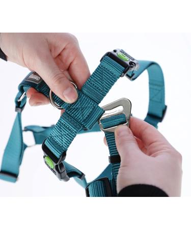 Kerbl 80045 Panic Harness Miami - Escape-Proof Design Petrol Color Adjustable 64-100cm | Shop Now for International Shipping - Buy Online on SooperMarket.com