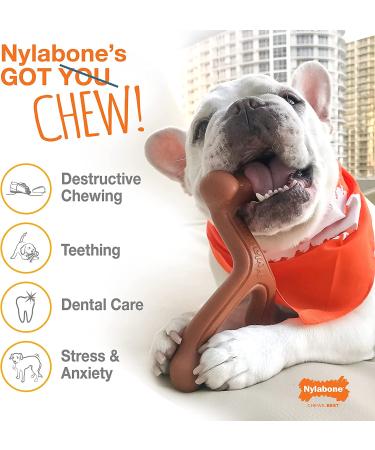 Nylabone Flavor Frenzy Power Chew Triple Pack - Chili Cheese, Popcorn & Cherry - Small/Regular (3 Count) - Buy Online on SooperMarket.com