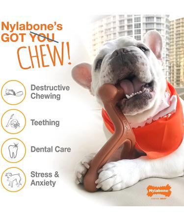 Nylabone Power Chew Breast Cancer Awareness Pink Dog Toy - Chicken Souper Chew - Buy Online on SooperMarket.com
