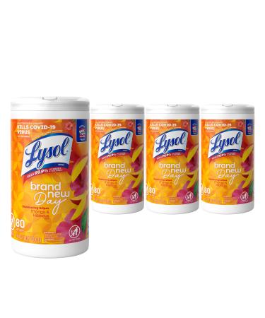 Lysol Disinfectant Wipes, Multi-Surface Disinfectant Cleaning Wipes, For Disinfecting and Cleaning, Mango & Hibiscus, 80 Count (Pack of 4)