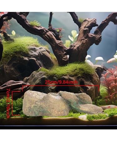 Ctpeng Aquarium Decoration Stone - Natural Look Decorative Rock & Hiding Place (25cm 13cm 7cm Resin) - Ideal Aquarium Accessories - Buy Online on SooperMarket.com