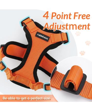 Rabbitgoo Cat Dishes & Adjustable Breakage-Proof Cat Harness Set - Orange M (1 Pack) for International Shipping - Buy Online on SooperMarket.com