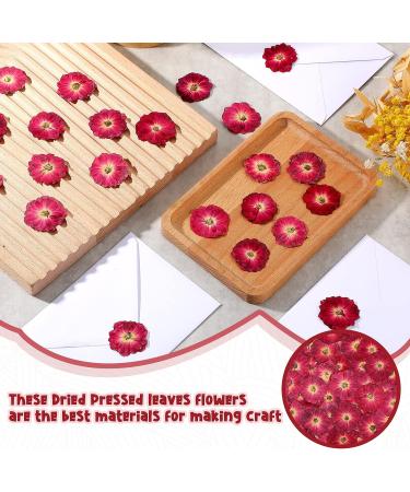 100 Pcs Red Rose Dried Pressed Flowers - Natural Resin Filler for DIY Crafts and Decor - Buy Online on SooperMarket.com