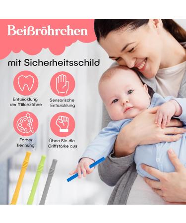 Bite Tube Set - 6 BPA-Free Silicone Dental Aids with 2 Cleaning Brushes for Baby Teething - Grayling & Violet Root Colors - Buy Online on SooperMarket.com
