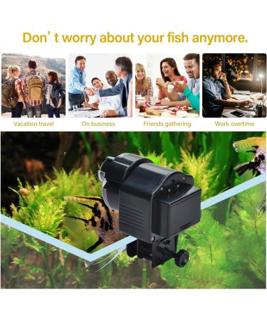 Podazz Aquarium Fish Feeder Vacation Aquarium Automatic Fish Food Dispenser Tank Feeder Timer Auto Feeders for Holiday Vacation Fish Dispenser (AF-2003D) AF-2003D Black - Buy Online on SooperMarket.com