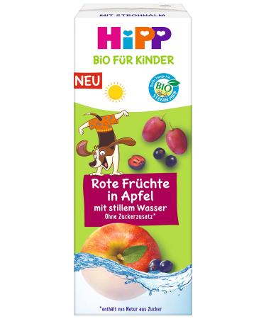 HiPP Organic for Children Drink with Straw Red Fruits in Apple with Still Water Tetrapak 200ml Pack of 15 (15x200ml)