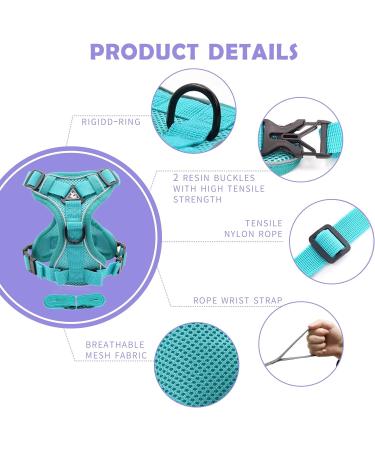 Buy Tikxlafe Cat Dishes with 150 cm Leash Adjustable Polyester Cat Linen Set for Kittens (Blauer See Size S) | International Shipping - Buy Online on SooperMarket.com