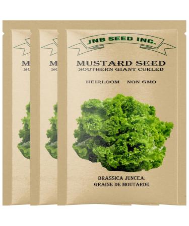 Southern Giant Curled Mustard Seeds - (Approx. 4500 Seeds) 3 Packs - Ideal for Canada Home Gardening