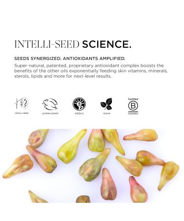 Intelligent Nutrients Seed Synergy Foaming Cleanser - Deep Cleaning & Hydrating Face Wash for All Skin Types | Vegan | 5 Oz - Buy Online on SooperMarket.com