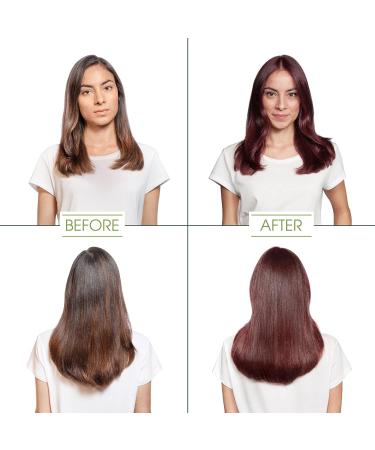 Garnier Nutrisse 452 Dark Reddish Brown Hair Dye 3-Pack - Chocolate Cherry Shade - Buy Online on SooperMarket.com