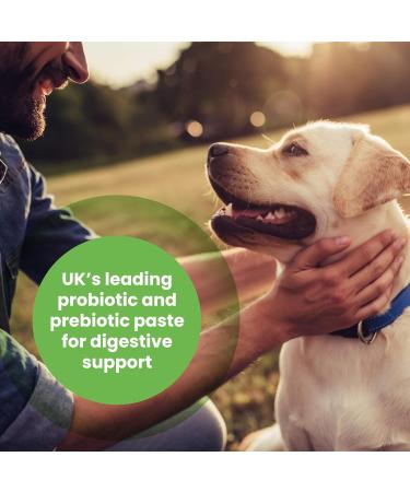 Protexin pet health Pro-Kolin for Dogs and Cats Probiotic Paste and Syringe 60 ml (Pack of 1) 60 ml (Pack of 1) Single Single - Buy Online on SooperMarket.com