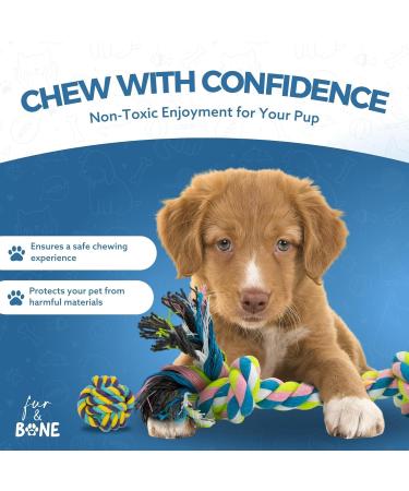 Fur & Bone 10 Pack Dog Chew Toys | Puppy Toys Dog Toys for Boredom | Indestructible Dog Toys with Rope Toys Squeaky Toy | Dog Toy Dog Teething Toys for Small & Medium Dogs | Dog - Buy Online on SooperMarket.com