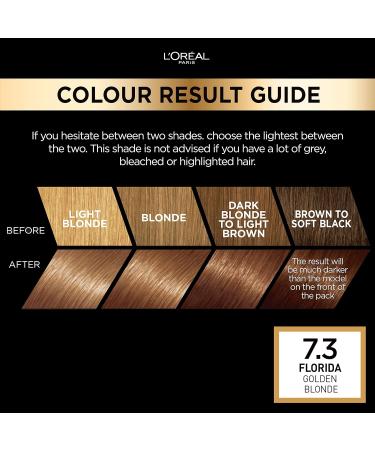 L'Oreal Paris Preference 7.3 Florida Hair Dye - Long Lasting Permanent Colour - Buy Online on SooperMarket.com