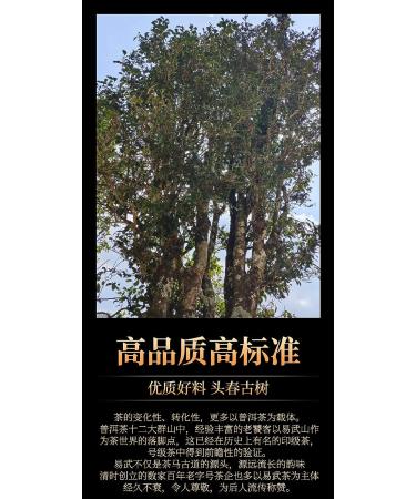 Puerh Tea 2019 Yiwu Zhengshan 357g Raw - Premium Quality Chinese Tea - Buy Online on SooperMarket.com