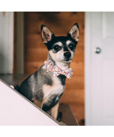 Pink Bow Tie Dog Collar | Adjustable for Girl Dogs | Metal Quick Release Buckle | Orange | Size L (38-60CM) - Buy Online on SooperMarket.com
