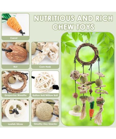 ERKOON Rabbit Hamster Hanging Chew Toys - Applewood Boredom Breaker with Grass Ball and Carrot Treats for Small Pets - Buy Online on SooperMarket.com