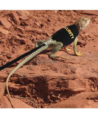 Shop Bartagame Leash & Dishes for Reptiles - Adjustable Linen Leash & Accessories for Amphibians Chameleons & Small Pets - Perfect for Outdoor Security & Walks - Buy Online on SooperMarket.com