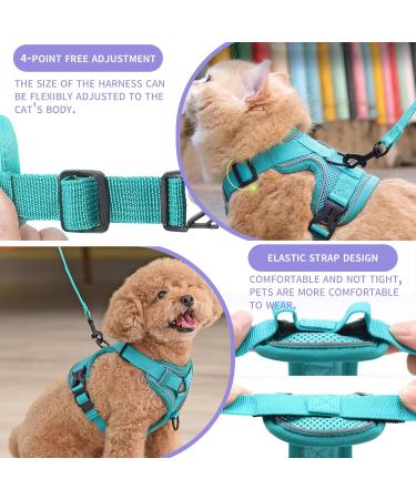 Buy Tikxlafe Cat Dishes with 150 cm Leash Adjustable Polyester Cat Linen Set for Kittens (Blauer See Size S) | International Shipping - Buy Online on SooperMarket.com
