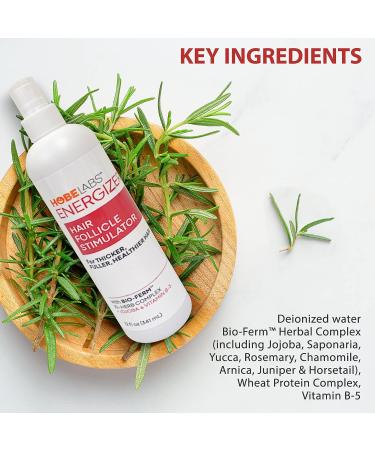 Hobe Labs Energizer Hair Follicle Stimulator with Jojoba and Vitamin B-5 - 12 oz for Thicker Fuller Hair - Buy Online on SooperMarket.com
