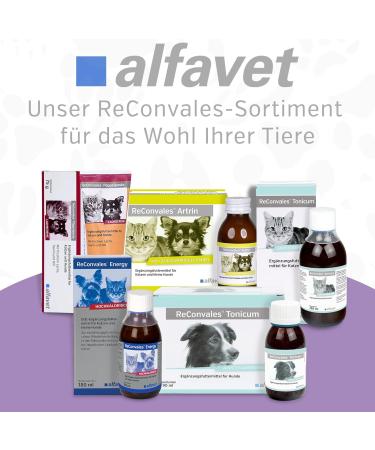 Alfavet Reconvales Antiphos - Kidney Support for Cats & Dogs | Nutritional Supplements with Phosphate Binders - 3 x 90ml Bottles - Buy Online on SooperMarket.com