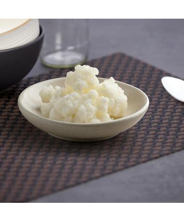 Curly Superfood Bio Kefirilz Set - 10g Organic Kefir Starter Cultures from Germany - Make Real Milk Kefir at Home - Buy Online on SooperMarket.com