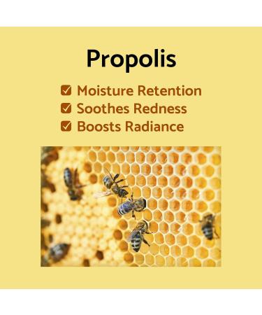 iUNIK Propolis Edition Skincare Set - Revitalize Skin with Propolis & Buckthorn Extracts | Sleeping Mask & Mini Serum | International Shipping Available - Buy Online on SooperMarket.com
