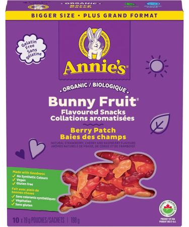 ANNIE'S - FAMILY PACK SIZE - Organic Fruit Flavoured Snacks Berry Pack of 10 Pouches & Chocolate Graham Cookies Snacks Organic No Artificial Flavours No Synthetic Colours Fruit Snack + Chocolate Graham Cookies Snacks - Buy Online on SooperMarket.com