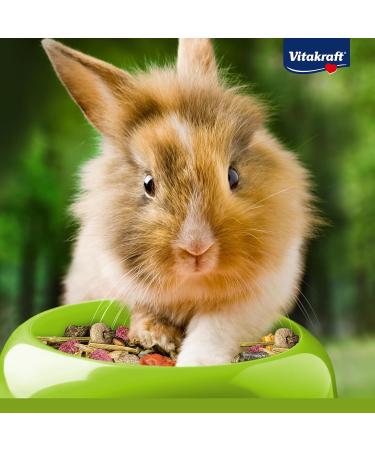 Vita Power Menu Vital for Dwarf Rabbits - 3kg Feed with Lucerne Apple Pumpkin & Herbs - No Sugar or Grain - International Shipping Available - Buy Online on SooperMarket.com