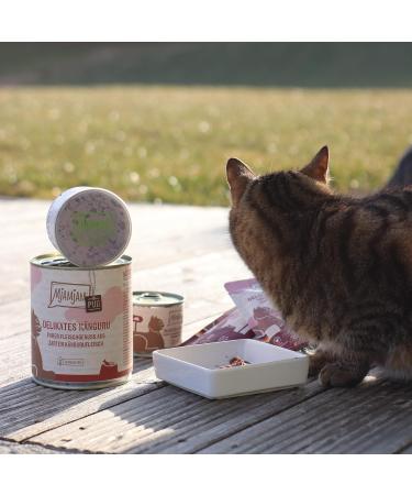 Mjamjam Premium Wet Cat Food Bundle - Pure Meat Enjoyment with Kangaroo & Hearty Wild Rabbit in Blueberries - 6 Pack (400g) - Buy Online on SooperMarket.com
