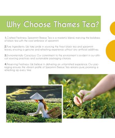 Thames Tea | Premium Flavoured Tea Selection | Luxury British Tea Experience | Spearmint Breeze Loose Leaf Tea - Buy Online on SooperMarket.com