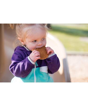 Sprout Organic Baby Food Stage 4 Toddler Snacks - Blueberry Apple and Pumpkin Butter Wafflez Variety Pack - 20 Single Serve Waffles - Buy Online on SooperMarket.com
