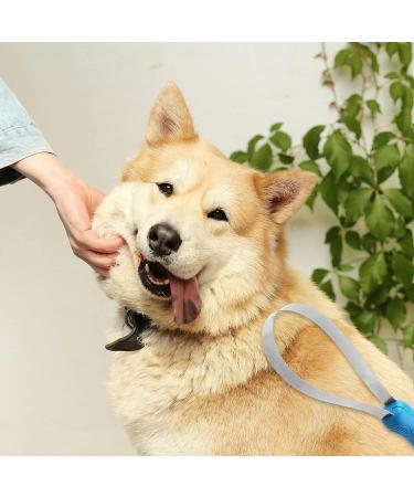 WADY Dog Deshedding Loop Brush 1PC Double-Sided Shedding Blade Dogs Shedding Brush Stainless-Steel Grooming Tool Dog Shedding Tool with Stainless Steel Blade for Dog and Cat Blue (Blue) - Buy Online on SooperMarket.com