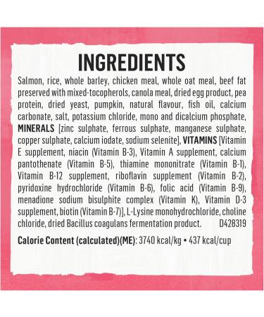 Beyond Superfood Blend Natural Dry Dog Food Wild Caught Salmon Egg & Pumpkin - 1.67 kg Bag 1.67 kg (Pack of 1) Dog Food - Buy Online on SooperMarket.com
