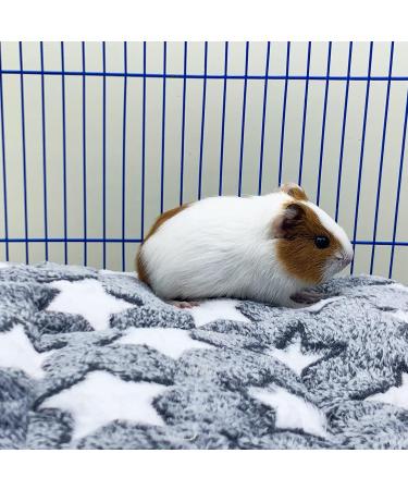 XMPEKO 3 Pack Small Animal Plush Bed - 40 * 30 * 3cm Warm Soft Fleece Guinea Pig Bedding Mat for Cage Accessories for Rabbit Bunny Chinchilla Squirrel Hedgehog Hamster 40*30*3cm - Buy Online on SooperMarket.com